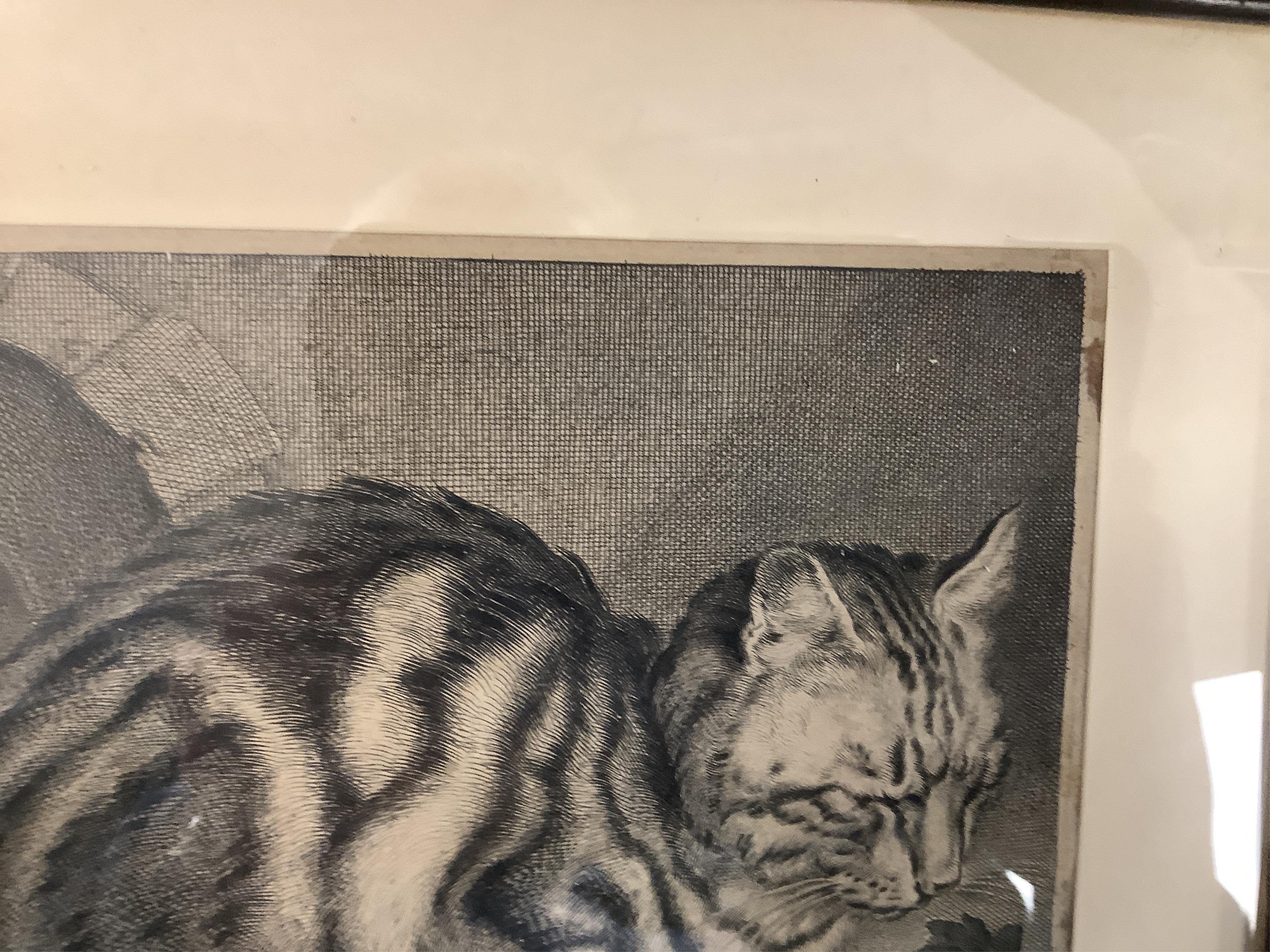 After Cornelis Visscher (Dutch, 1629-1658), 'The Large Cat', signed in the plate, engraving, 14.5 x 18.5cm